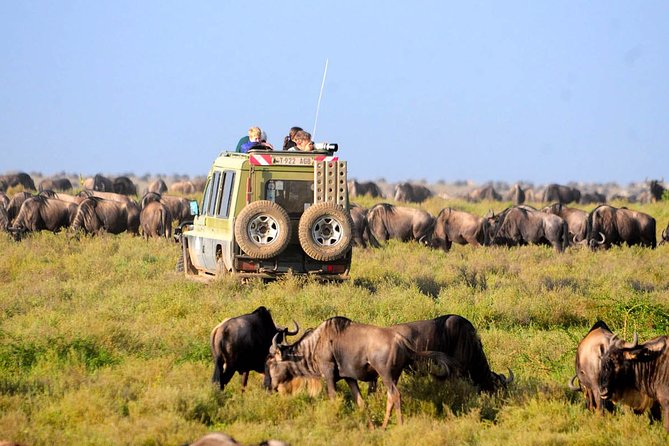 3 Days 2 Nights Serengeti, Ngorongoro & Tarangire Wildlife Lodge Safari - Day 1: Serengeti National Park, the crater-highland rim viewpoint