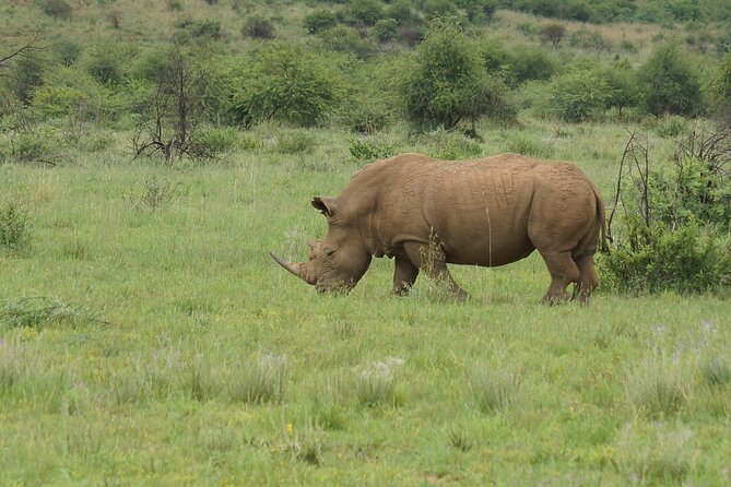 3-Days 2-nights Tanzania Private Budget Camping Safari - Key things that make this safari feel worth it