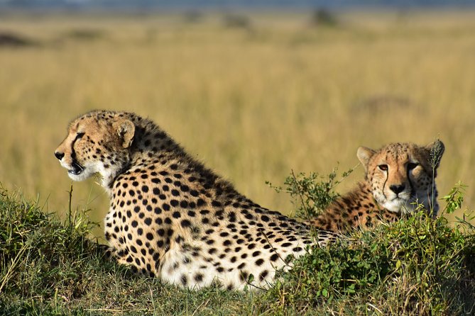 3-Days 2-nights Tanzania Private Budget Camping Safari - Day 1: leaving Arusha, passing Ngorongoro Conservation Area, reaching Serengeti