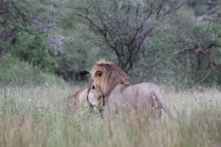 3-days adventure from Dar-es-Salaam to Mikumi National Park - Entering Mikumi, a southern safari option from Dar es Salaam