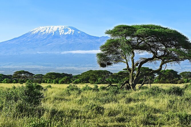 3 Days All Inclusive Zanzibar to Tarangire Ngorongoro - Ngorongoro Crater, Descending Over 600 Meters to a Predator Hotspot