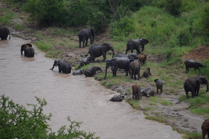 3 Days All Inclusive Zanzibar to Tarangire Ngorongoro - The All Inclusive Value, What’s Covered and What That Means for You