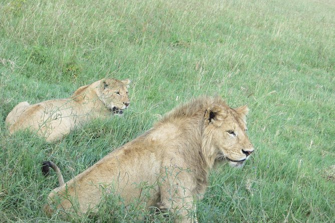 3 Days Amzing Safari in Tarangire and Nngorongoro - Tarangire National Park: Elephants, Dry River Beds, and the Wildlife Magnet