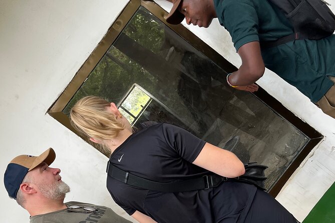 3 Days and 2 Night Mikumi Safari Private Tour and Chizua hiking - Day 2 in Mikumi: long game drive time and predator odds