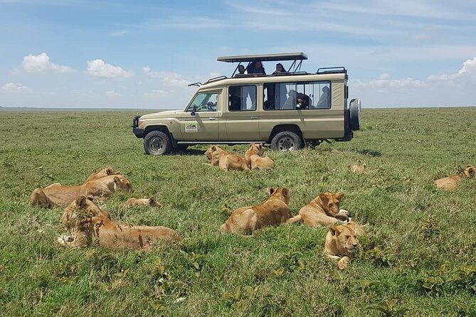 3 Days Big 5 Tour and Culture in Tanzania - Big Five, But Plan for Realistic Safari Days