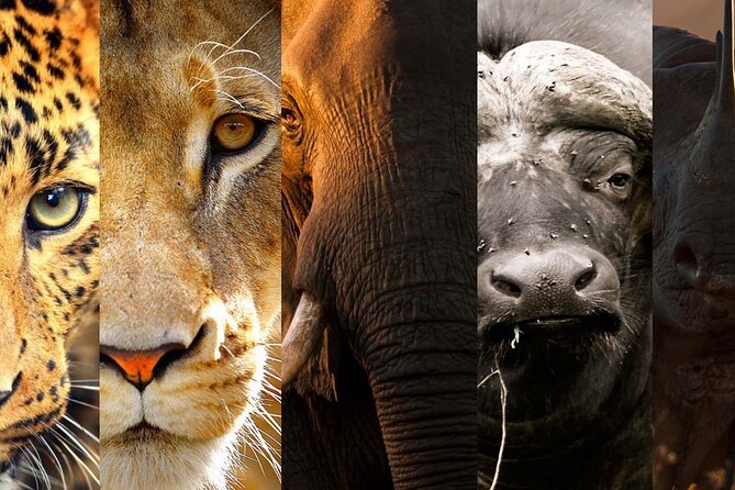 3 Days Big Five Unforgetable Lodging Tanzania Safari - Lake Manyara on the Last Day: close to camp and lunch keeps it sane