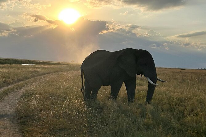 3-Days Budget Lodge Safari - Tarangire, Ngorongoro & Lake Manyara - Lake Manyara: Groundwater Forest Shade, Tree-Climbing Lions, and Shore Birds