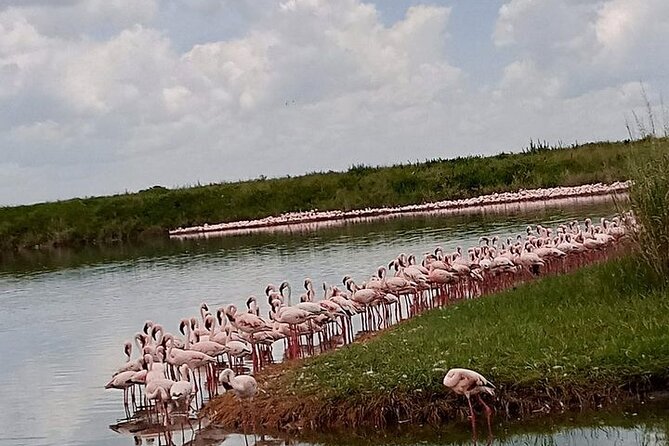 3-Days Budget Lodge Safari - Tarangire, Ngorongoro & Lake Manyara - Who This Tour Fits Best, and Who Might Want More Time