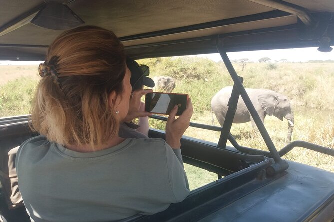 3-Days Budget Lodge Safari - Tarangire, Ngorongoro & Lake Manyara - Should You Book This 3-Day Budget Lodge Safari?