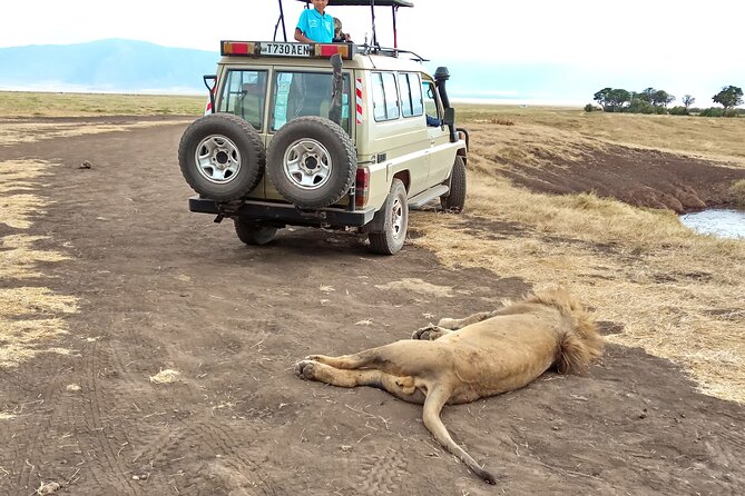 3 Days Exploring Serengeti & Ngorongoro Crater from Arusha - Guides, patience, and spotting skills that matter more than fancy promises