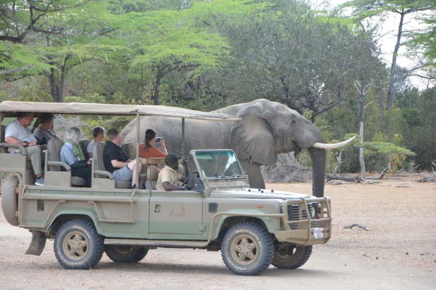 3 Days Flight Package Zanzibar to Nyerere/Selous - Flying Zanzibar to Nyerere, the quick route into real safari country