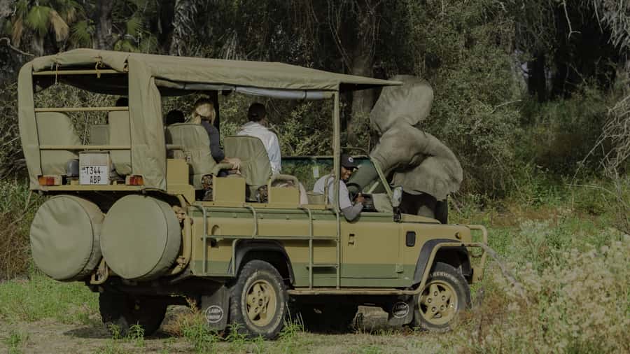 3 Days Flight Package Zanzibar to Nyerere/Selous - What makes the safari style work: guide quality and animal time