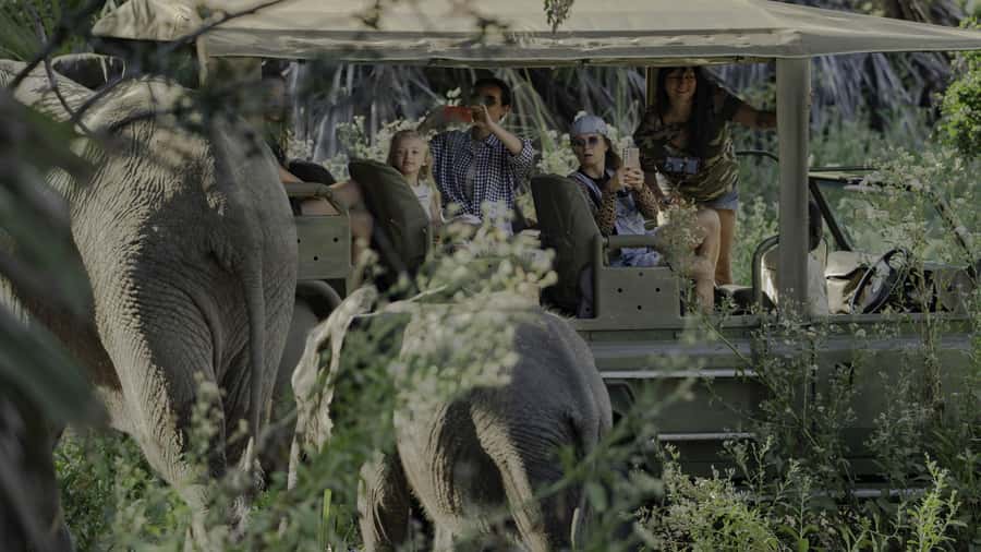 3 Days Flight Package Zanzibar to Nyerere/Selous - What to pack and small tips that make the days easier