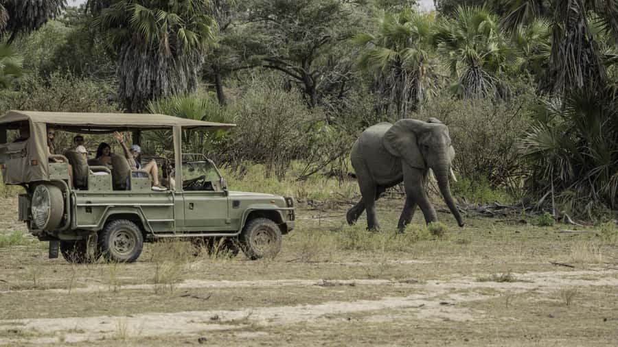 3 Days Flight Package Zanzibar to Nyerere/Selous - Price and value: what $1,080 buys you in 3 days
