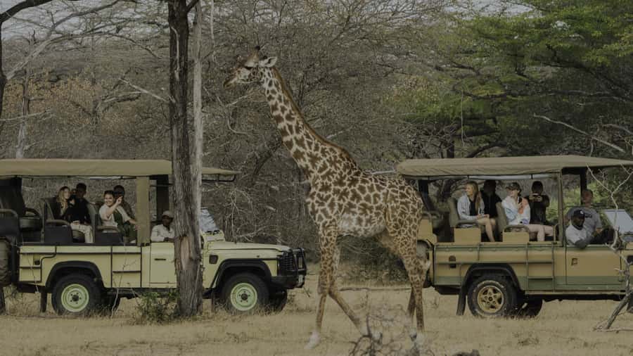 3 Days Flight Package Zanzibar to Nyerere/Selous - Day 2: Bushman walking safari, Mloka village tour, and Rufiji River sunset