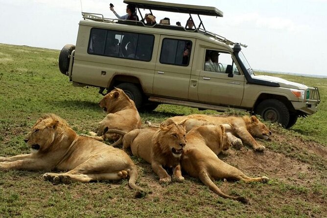 3 Days Fly in & Out Serengeti Park - Fly-In, Fly-Out Timing That Makes Serengeti Feel Immediate
