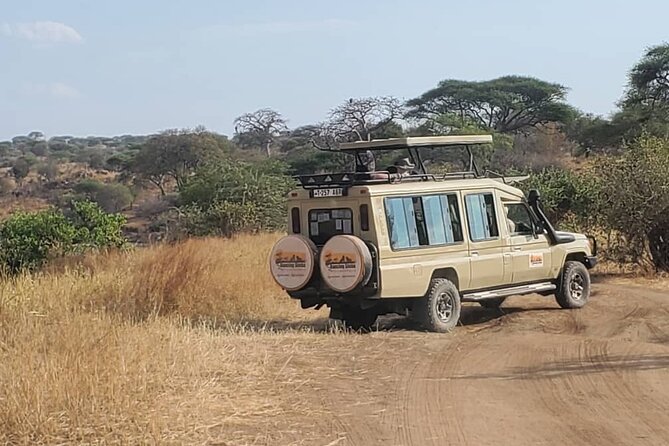 3 Days Fly in & Out Serengeti Park - Day 3: Sunrise Safari, Hippo Pools, and Getting Back Before the Rush