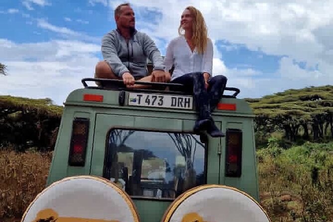 3 Days Fly in & Out Serengeti Park - What You’re Really Paying For: Value of Meals, Park Access, and Air Time