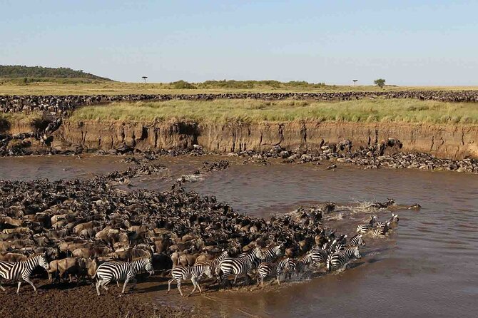 3 Days Group Joining Serengeti and Ngorongoro Safari - Food on safari, what you get and what to budget