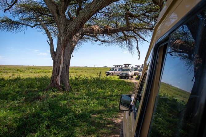 3 Days Group Safari Serengeti & Ngorongoro - Key points before you go