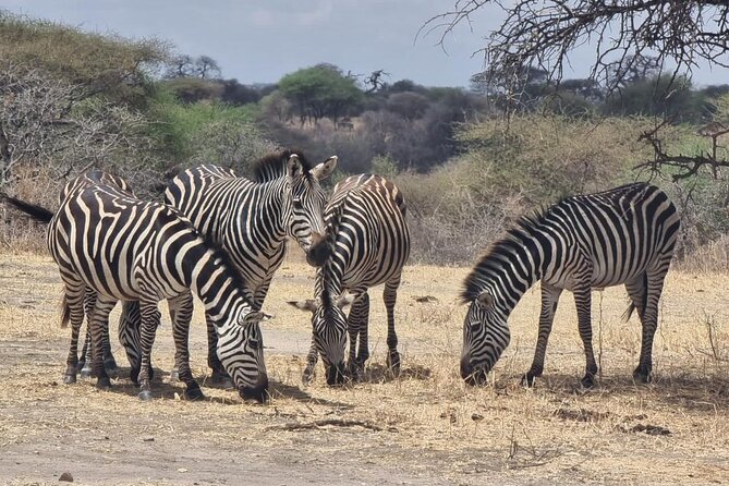 3 Days Group Safari Serengeti & Ngorongoro - Food and camping: where the chef can change the whole experience