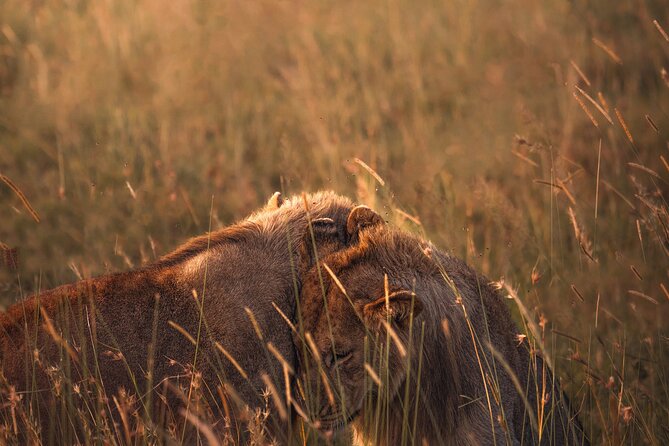 3 days Group tour Tarangire, Ngorongoro & lake manyara park - Camping, comfort, and what to pack for real days out