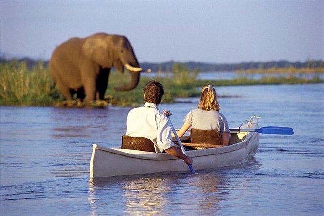 3 Days Joined Group Safari Ngorongoro,Lake Manyara and Tarangire National Park - Why this 3-parks safari works from Arusha