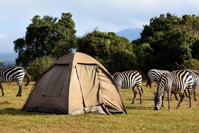 3 Days Joined Group Safari Ngorongoro,Lake Manyara and Tarangire National Park - Getting into the jeep: open-aired drives and a small group feel