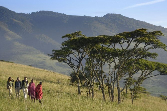 3 Days Joined Group Safari Ngorongoro,Lake Manyara and Tarangire National Park - Day 1: Tarangire National Park, baobabs, acacia, and long game drive time