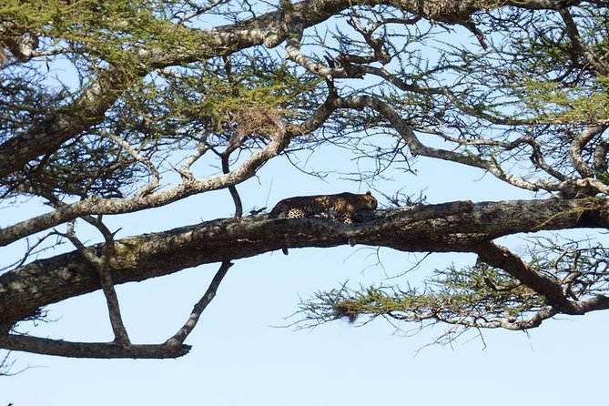 3 Days Lake Manyara, Ngorogoro Crater, Tarangire National Park - The Route: A 3-Day Northern Circuit That Moves Fast