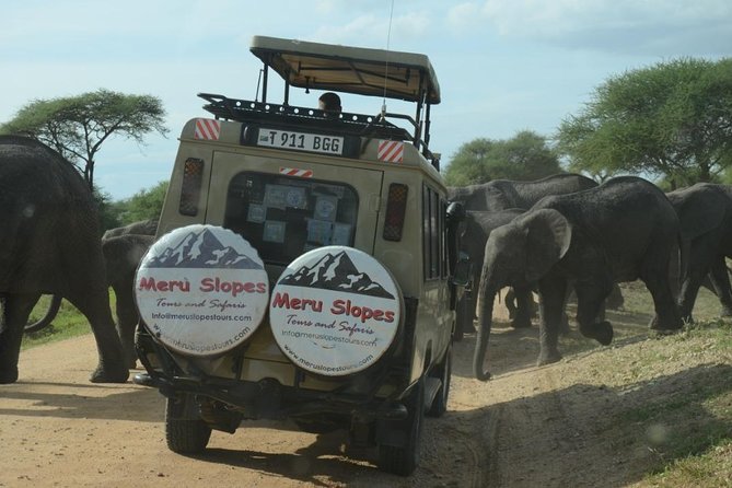 3 Days Lake Manyara, Ngorogoro Crater, Tarangire National Park - Lake Manyara Game Drive: Birds, Swamps, and the Rift Valley Edge