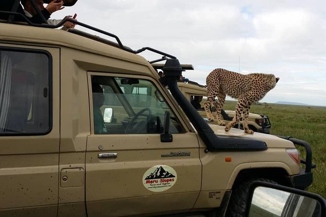 3 Days Lake Manyara, Ngorogoro Crater, Tarangire National Park - Lodging Reality: Private Rooms and a Proper Recovery Window