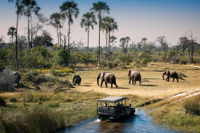 3-Days Lodge Safari in Tarangire, Ngorongoro Crater & Lake Manyara - Day 1 in Tarangire: Baobabs, Seasonal Swamps, and Elephant Herds