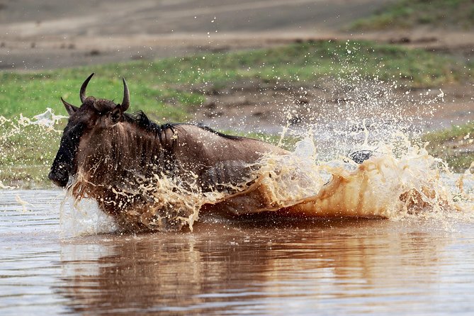 3 Days Luxury Lodge Safari in Tanzania - What’s Included, and Why It Changes the True Cost