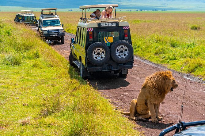 3 days Luxury Safari Tour in Tanzania - Lake Manyara: baboons, birds, and the lion story you might not see