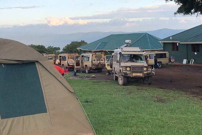 3 days Luxury Safari Tour in Tanzania - Lodging in Arusha and Karatu, plus downtime that actually feels like a reset