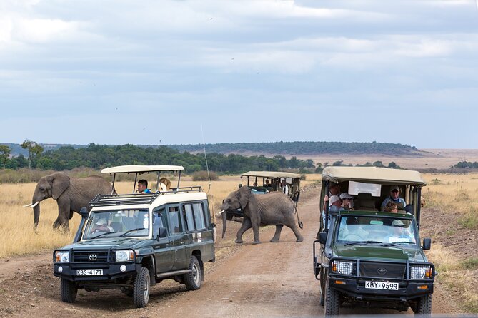3 days Luxury Safari Tour in Tanzania - Price and value: what $3,743 per person includes, and what it leaves out