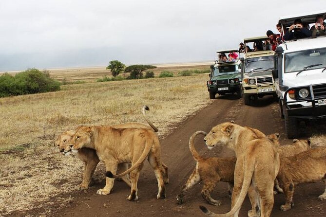 3 days Luxury Safari Tour in Tanzania - Who this safari suits best (and who should think twice)