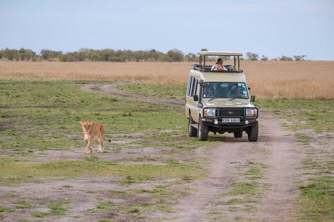3 days Luxury Safari Tour in Tanzania - Tarangire National Park: elephants, baobabs, and herd energy