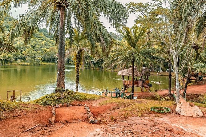 3 Days Magoroto forest tour - Practical tips for Magoroto Forest Estate success