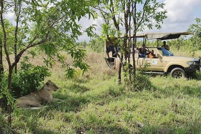 3 Days Mikumi National Park From Zanzibar or Dar es salaam - Guide quality and communication, the difference between good and great