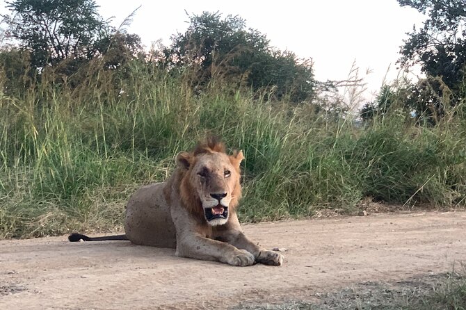 3 Days Mikumi National Park Private Tour - Guide quality and what the private format changes for you
