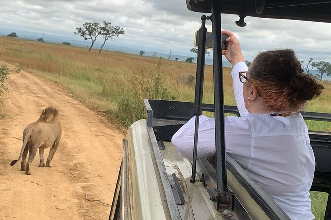 3 Days Mikumi National Park Private Tour - Price and value: what $641.03 per person really buys