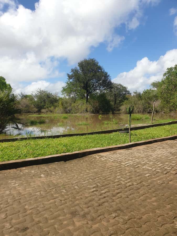 3 DAYS NYERERE NATIONAL PARK FROM ZANZIBAR BY FLIGHT. - Flying from Zanzibar to Nyerere, the smart way to gain safari time