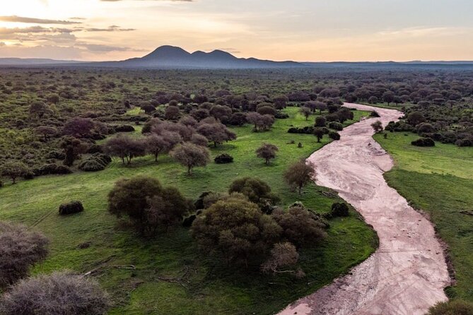 3 Days Nyerere National Park Safari (Selous Game Reserve) - How the small group size changes your day