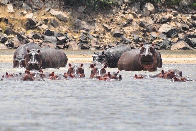 3 Days Nyerere National Park Safari (Selous Game Reserve) - Food, timing, and what meals add to the safari rhythm