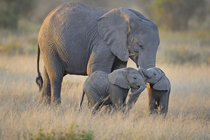 3 Days Nyerere NP [Selous GR] Game, Walking and Boat - Key things to notice before you book