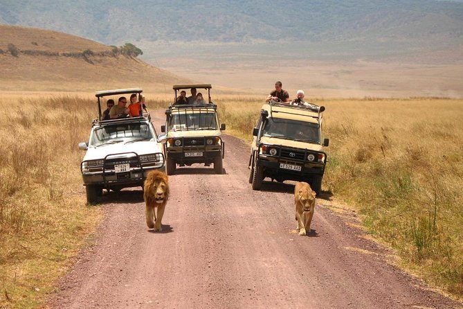 3 Days of Camping Bliss in Serengeti and Ngorongoro Crater - Camping gear and included meals, the practical part