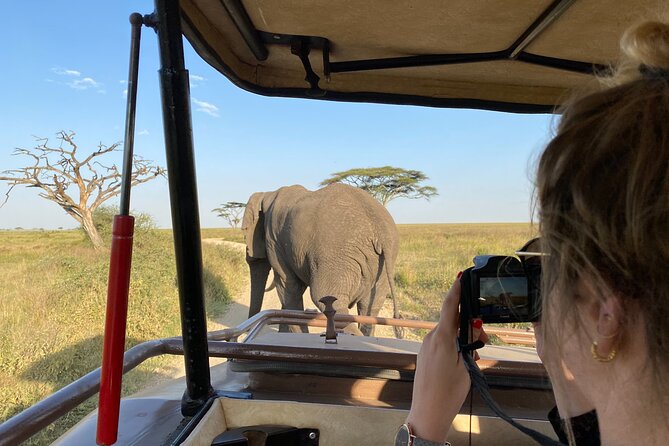 3 Days Private Budget Safari to Tarangire and Ngorongoro Crater - Entering Tarangire: baobabs, elephants, and an efficient full-day game drive