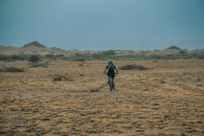 3 Days Private E-Bike Tour in West Kilimanjaro - Day 1 from farm descent to Olpopongi Maasai Village nights